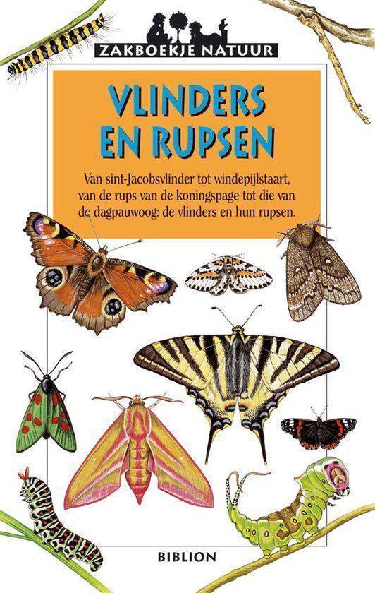 Vlinders En Rupsen - Léon Rogez