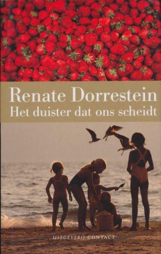 Duister Dat Ons Scheidt Ing - Renate Dorrestein, R. Dorrestein