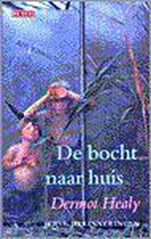 Bocht naar huis - Dermot Healy