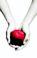 Twilight 1 - Twilight - Stephenie Meyer