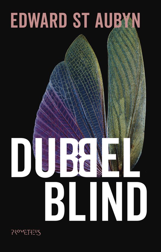 Dubbelblind - Edward St Aubyn