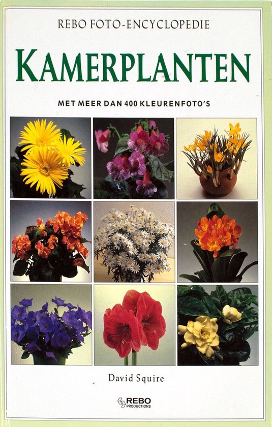 Kamerplanten foto - encyclopedie - David Squire