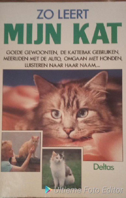 Zo leert mijn kat - Sigrid Theilig