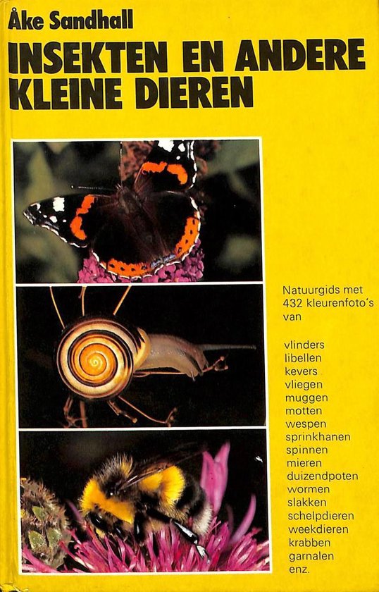 Insekten en andere kleine dieren - Sandhall