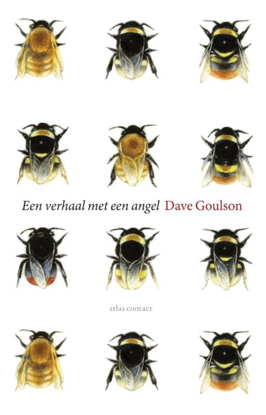 Een verhaal met een angel - Dave Goulson