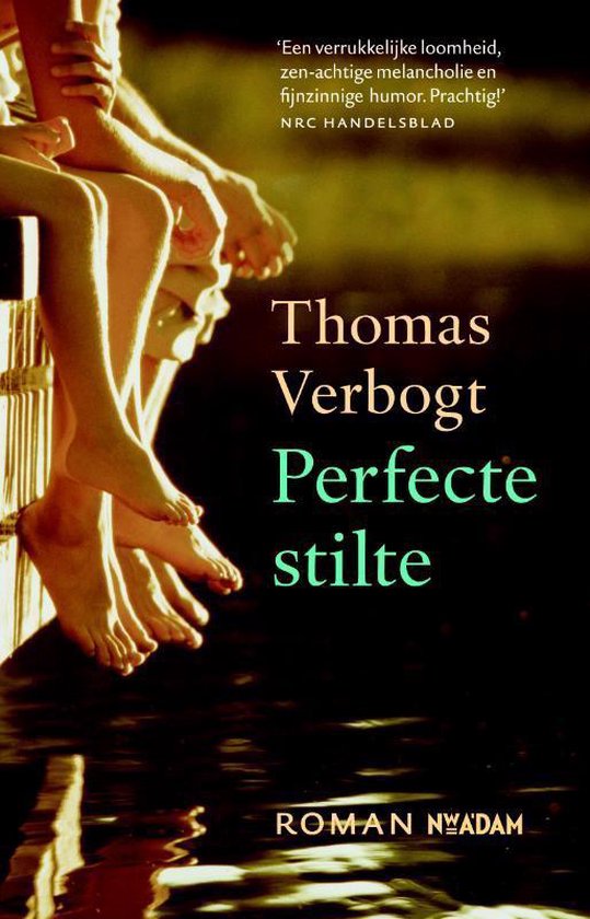 Perfecte stilte - Thomas Verbogt