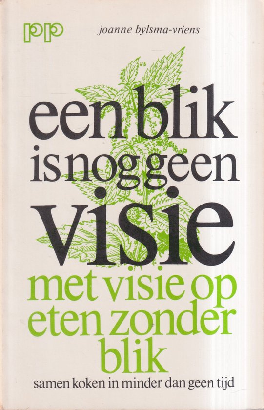 Blik is nog geen visie - Joanne Bylsma Vriens