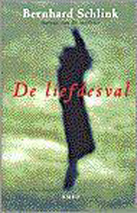 Liefdesval - Bernhard Schlink