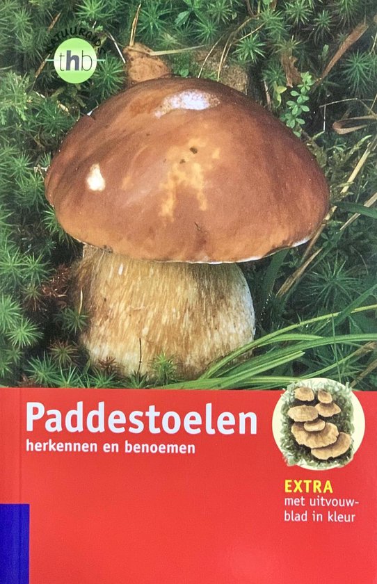 Paddestoelen - Helmut en Renate Grünert