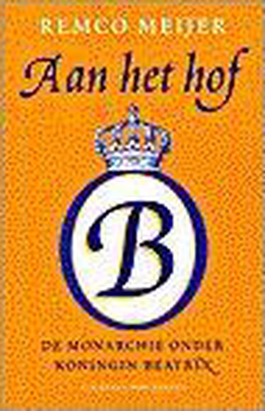 Aan het hof - Remco Meijer