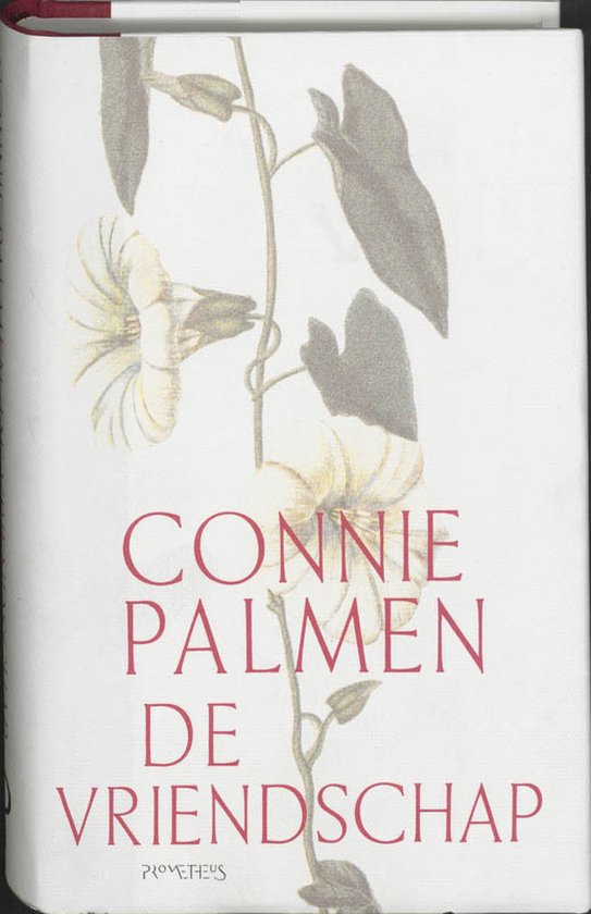 De vriendschap - Connie Palmen, geen