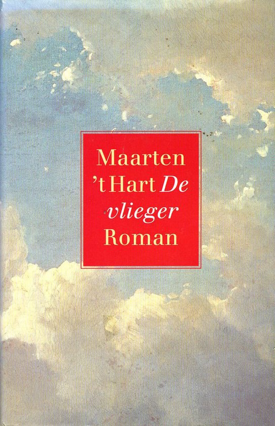 De vlieger