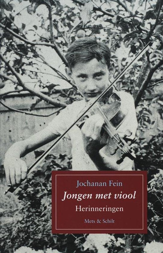 Jongen Met Viool - J. Fein