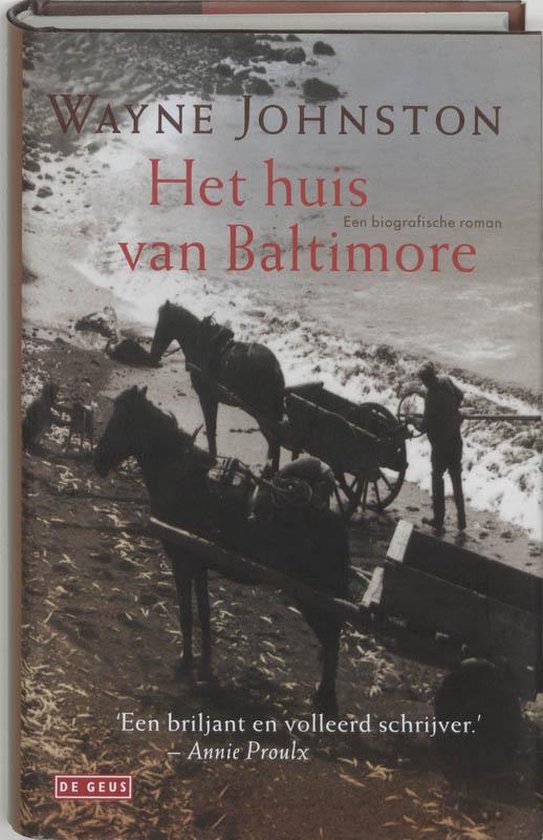 Het huis Van Baltimore - Wayne Johnston