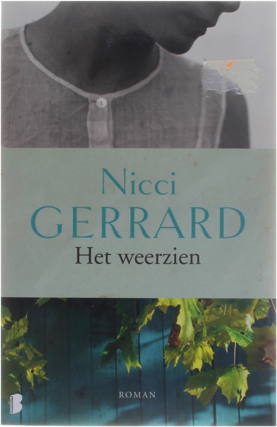 Het weerzien - Nicci Gerrard