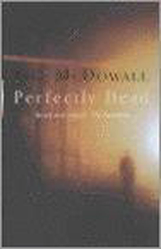 Perfectly Dead - Iain Mcdowall