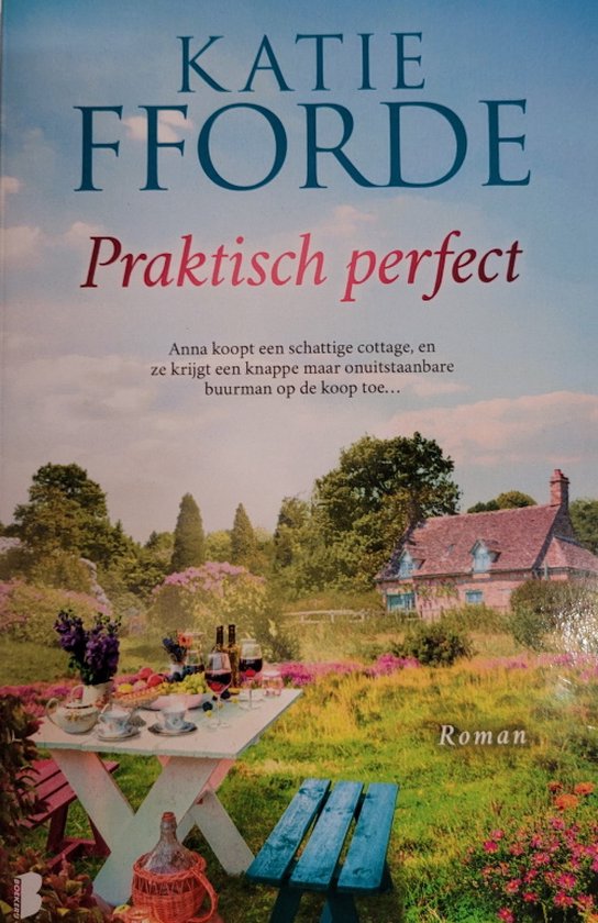 Praktisch perfect - Katie Fforde