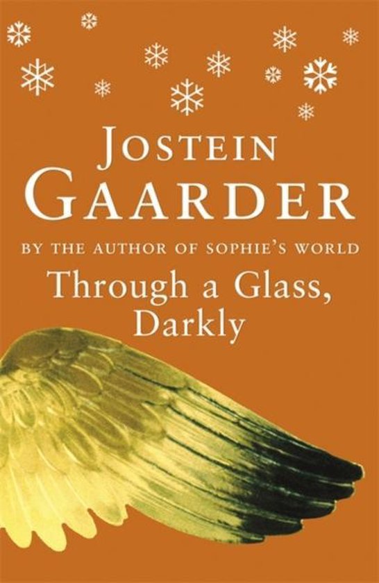 Through a Glass, Darkly - Jostein Gaarder