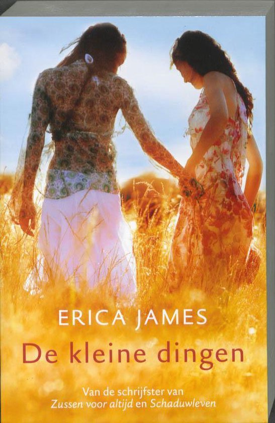 De Kleine Dingen - Erica James