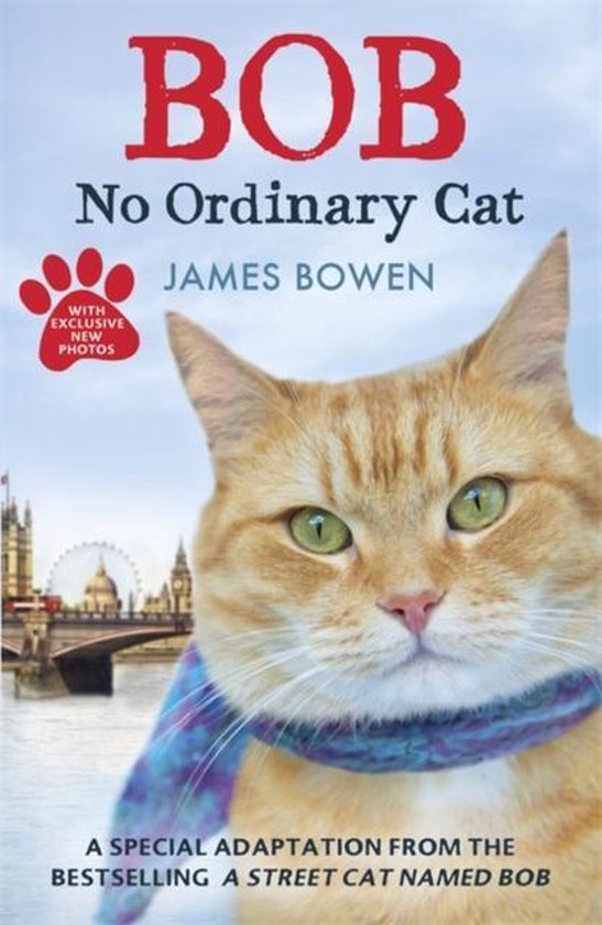 Bob No Ordinary Cat - James Bowen