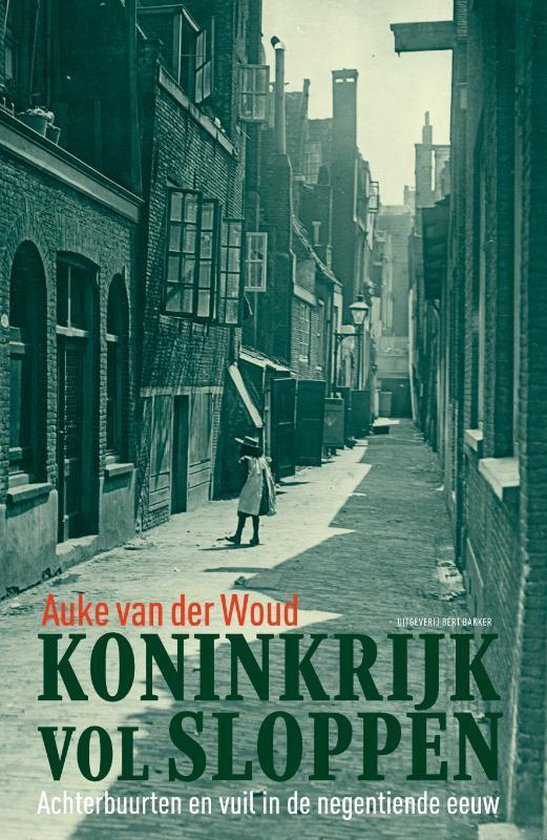 Koninkrijk vol sloppen - Auke van der Woud