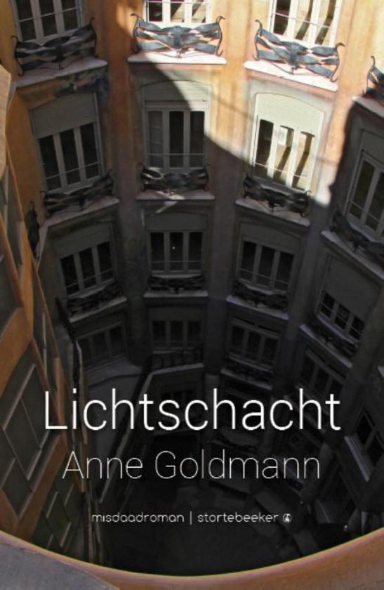 Lichtschacht - Anne Goldmann