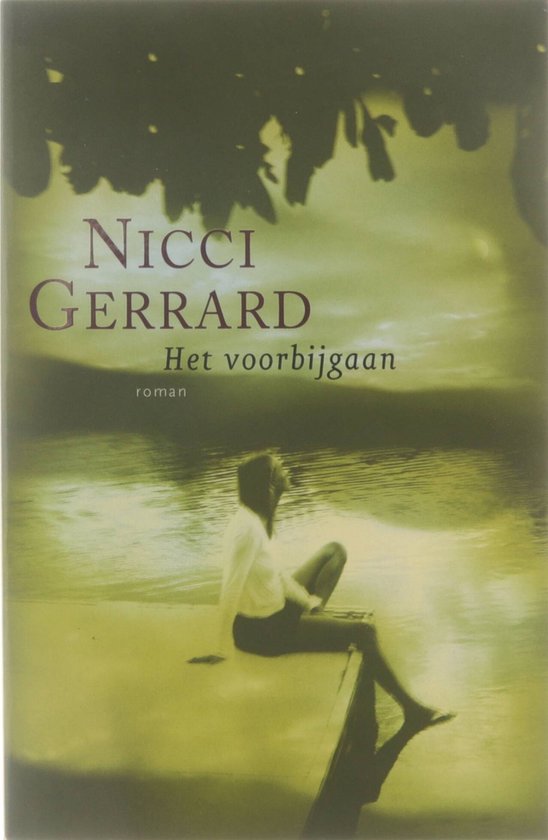 Voorbijgaan Pap - Nicci Gerrard