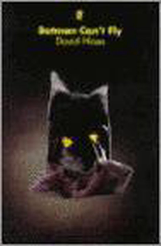 Batman Can't Fly - David Hines