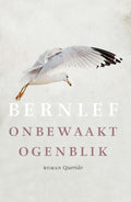 Onbewaakt ogenblik - Bernlef