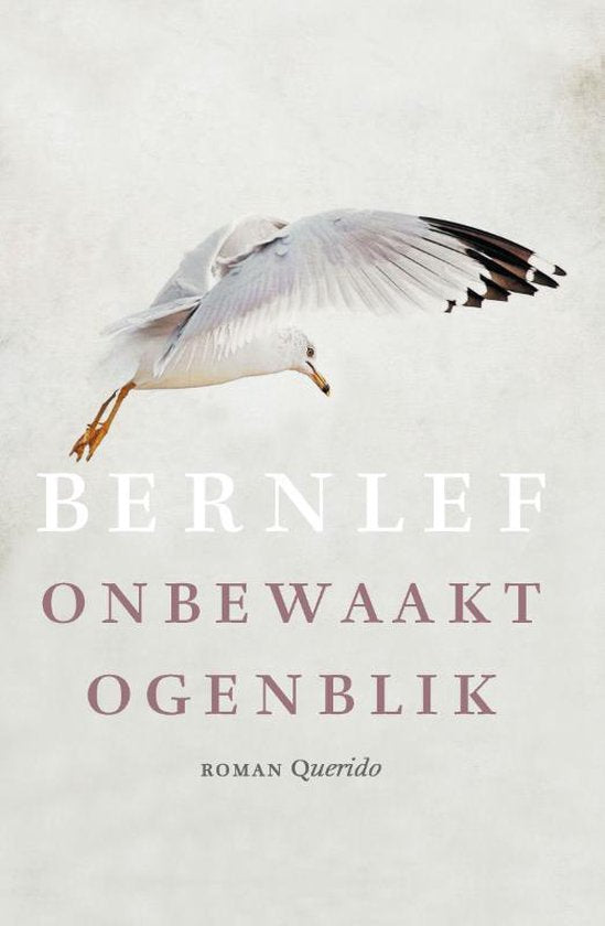 Onbewaakt ogenblik - Bernlef