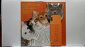 WAAIERS KATTEN - Fandex