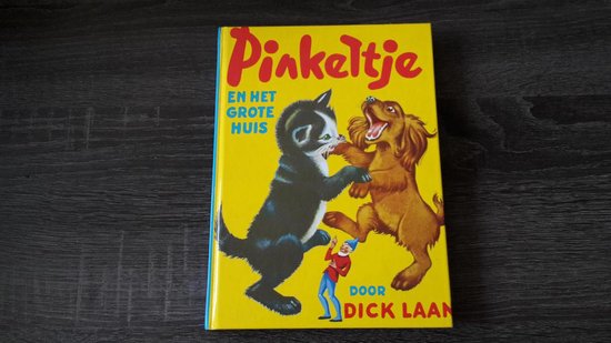 Pinkeltje en het grote huis - D. Laan, R. van Looy