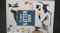 Grote kattenboek - Paddy Cutts, Honders J
