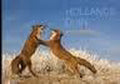 Hollands duin - Lorenzo Maginzali