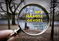 Het Haagse gevoel - Wim Willems