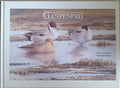 Ganzenpad impressies lauwersmeergebied - Wilma Brinkhof, Erik van Ommen