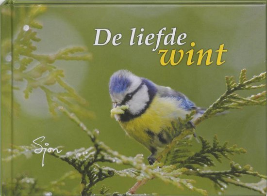 De Liefde Wint - Sjon Heijenga