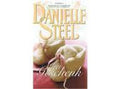 Het geschenk | Danielle Steel & D. Steel - Danielle Steel, D. Steel