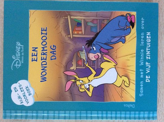 Winnie de Poeh kijk - en voorleesboek : een Wondermooie dag - Disney