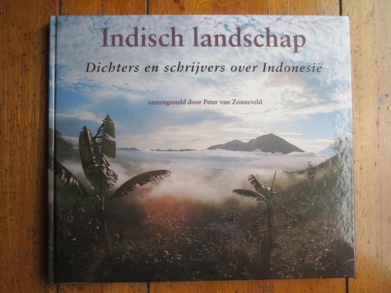 Indisch landschap - P. Van Zonneveld