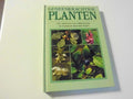 Geneeskrachtige planten - Caron, Henry Clos Jouve