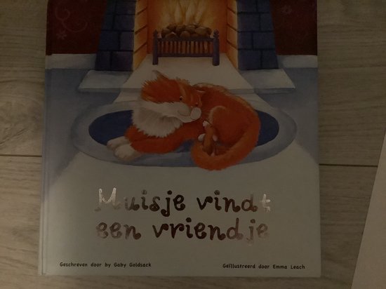 Muisje vindt een vriendje - Gaby Goldsack