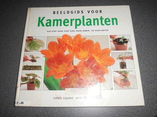 BEELDGIDS VOOR KAMERPLANTEN - David Squire, Lotje Deelman