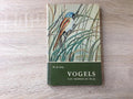 Vogels van moeras en plas - Jong