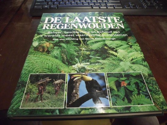 Laatste regenwouden - Wylen, Deni Bown