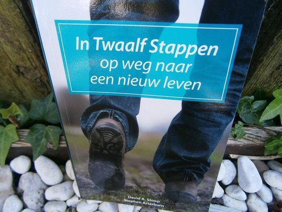 In twaalf stappen op weg naar een nieuw leven - David A. Stoop, Stephen Arterburn