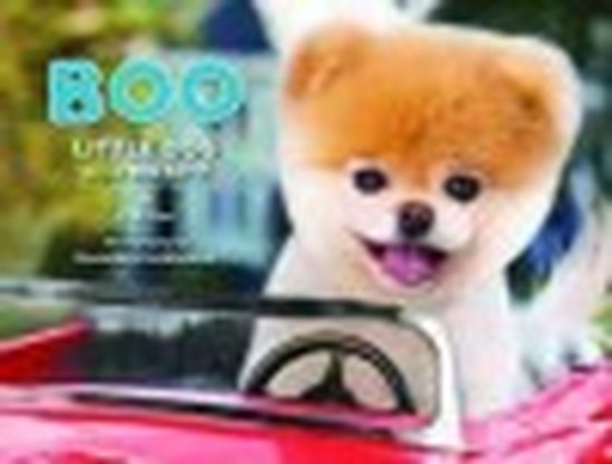 Boo Little Dog In The Big City - J H Lee LeMaistre, J. Lee