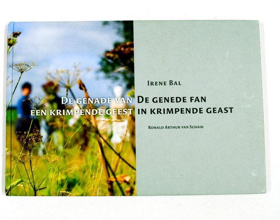 De Genade Van Een Krimpende Geest - Irene Bal