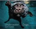 Underwater Dogs - Seth Casteel