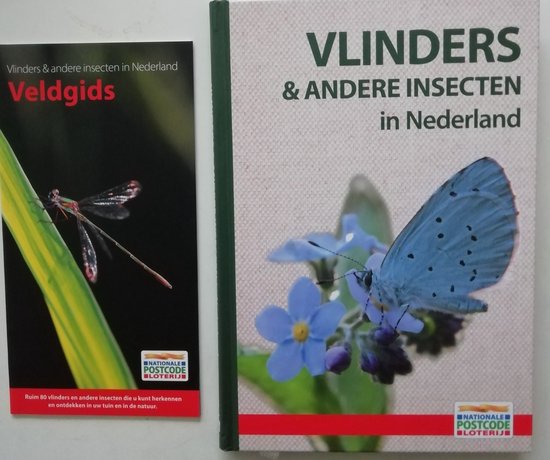 Vlinders & andere insecten in Nederland - KOLEKTIV